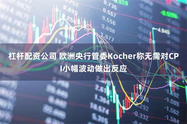杠杆配资公司 欧洲央行管委Kocher称无需对CPI小幅波动做出反应