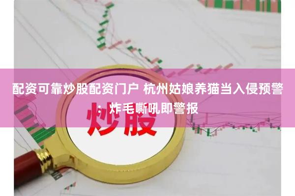 配资可靠炒股配资门户 杭州姑娘养猫当入侵预警：炸毛嘶吼即警报