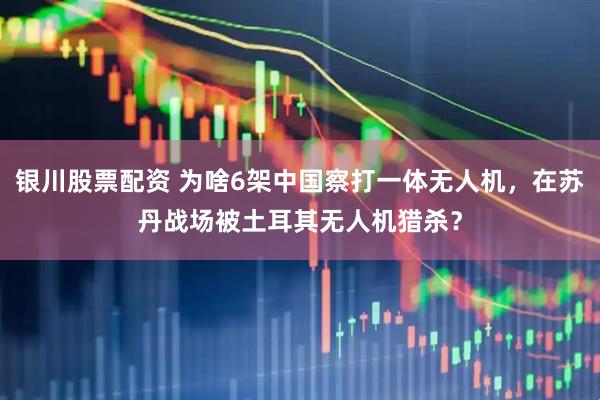 银川股票配资 为啥6架中国察打一体无人机，在苏丹战场被土耳其无人机猎杀？